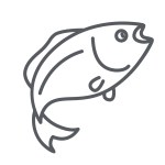 1.5 KM